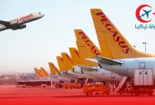 Photo of خطوط الطيران التركية (بيغاسوس – Pegasus)